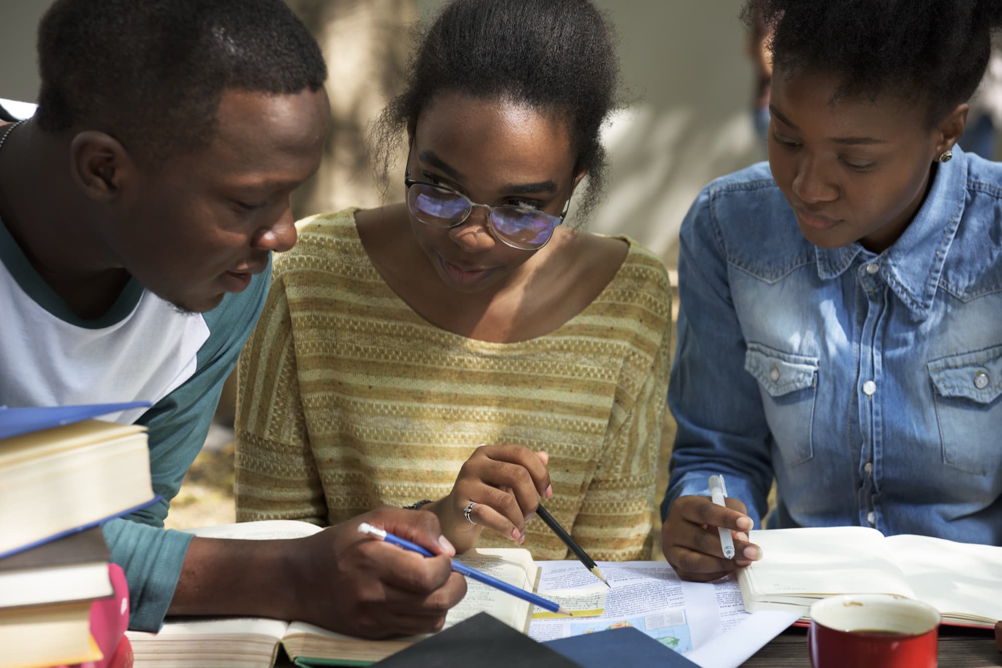 Izma peer pairing view with complementary student groupings